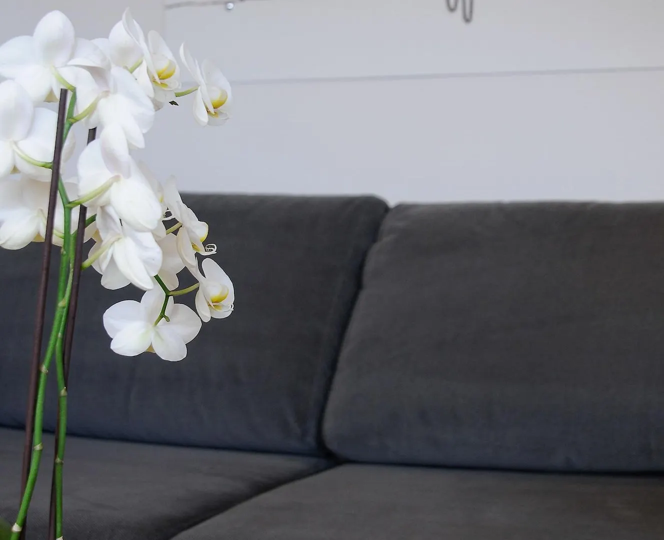 Hotel Archamps Porte Sud De Geneve